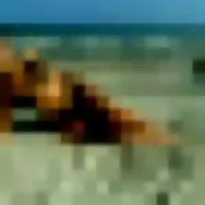 Découvre Soraya, 34 ans à Vieux-Condé en privé