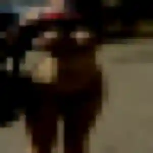 Doriane, femme de 20 ans veut rencontre sexe à Vigneux-sur-Seine