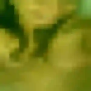 Djamila, femme de 35 ans cherche rencontre sexe à Villemur-sur-Tarn