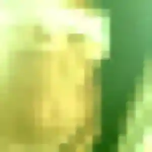 Photo de Amel à Vitré (30 ans) - rencontre sexe discret