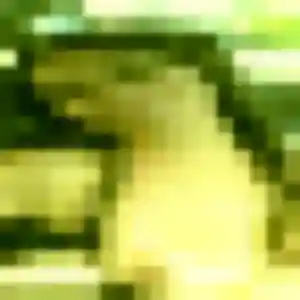 Photo sexy de Constance, 43 ans à Voreppe - rencontre sans lendemain