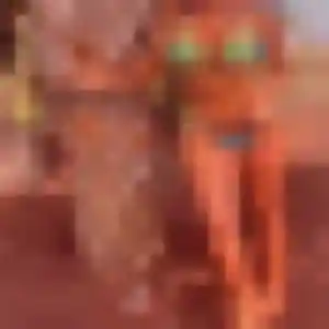 Photo privée de Capucine, 26 ans à Wambrechies - plan discret