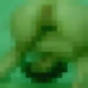 Photo de Fleur à Wambrechies (23 ans) - rencontre sexe discret